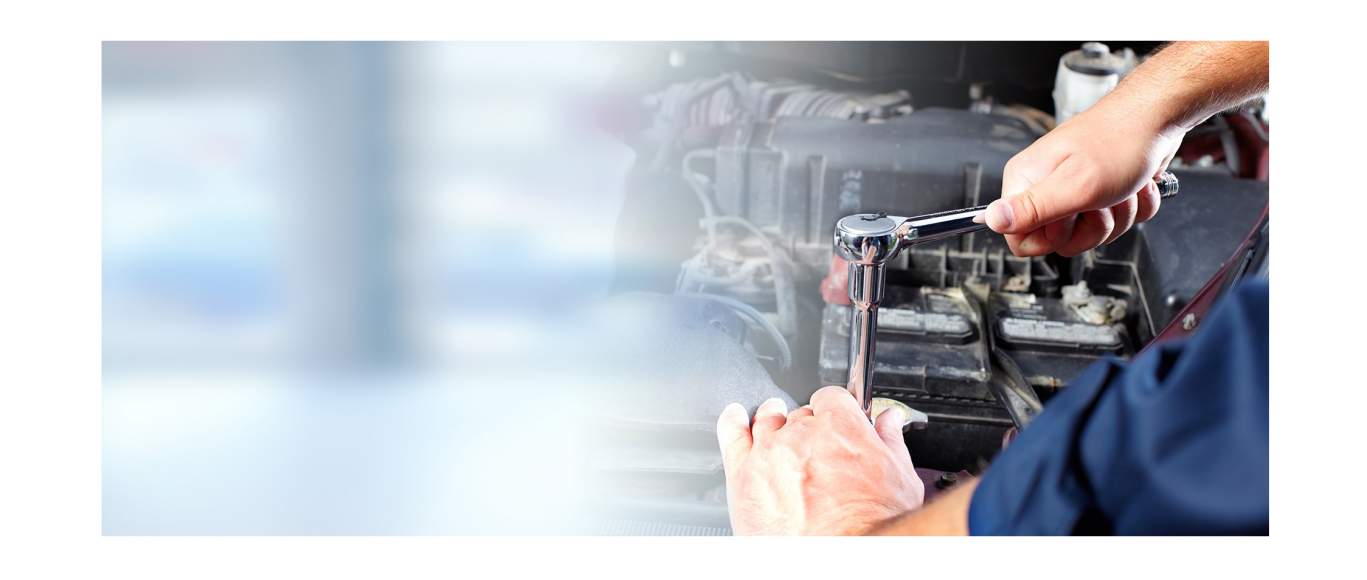 Galeriebild cropped_1756891169_0420586001756891164_782657.jpg