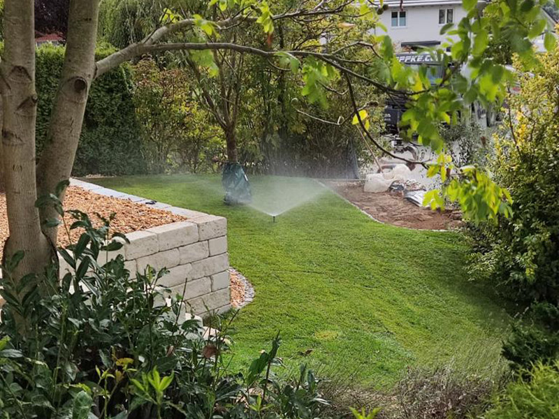 Galeriebild 0057921001758883576_782661.jpg