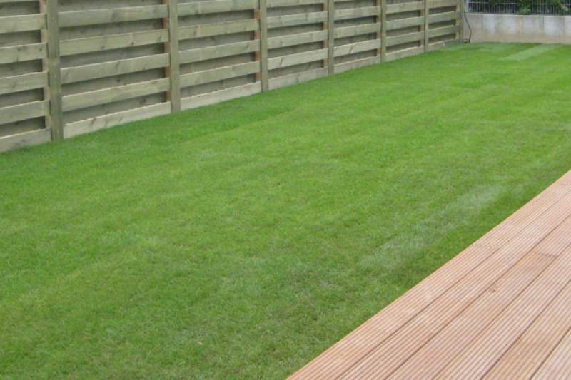 Galeriebild michael-fasselt-garten-und-landschaftsbau-gepflegter-rasen.jpg