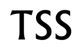Firmenlogo von Templiner Straßen Service - Fachbetrieb