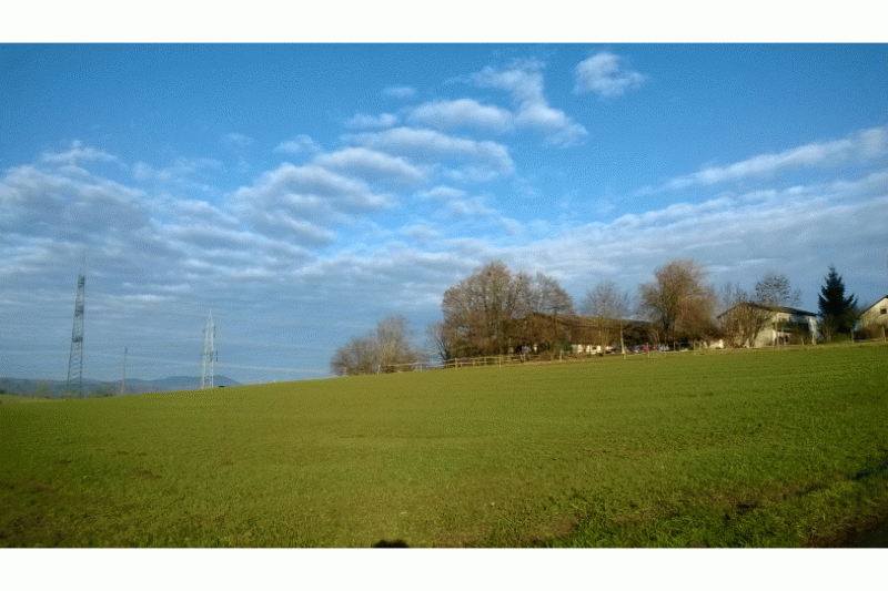 Galeriebild pferdepension-goldberghof-gelaende.gif