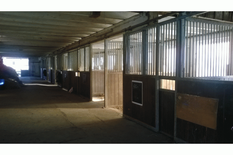 Galeriebild pferdepension-goldberghof-pferdeboxen-2.gif