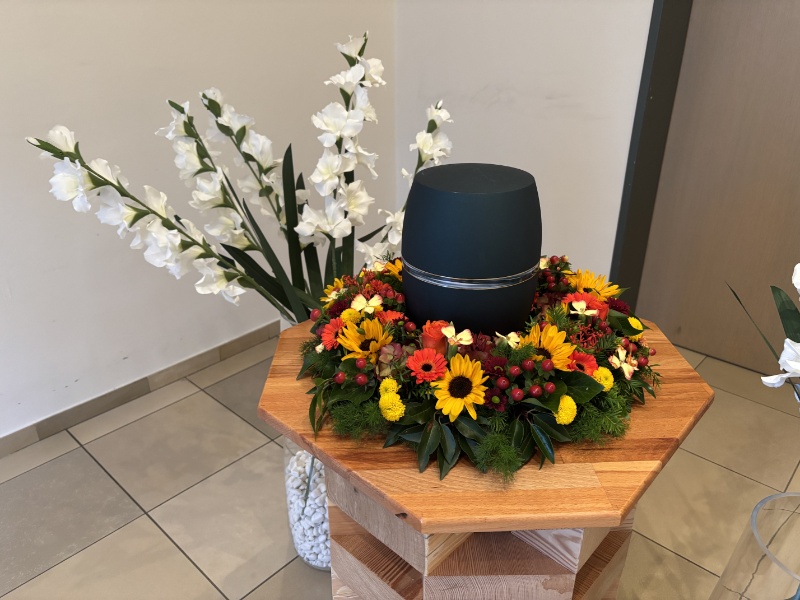 Galeriebild 0776922001767789646_782666.JPG