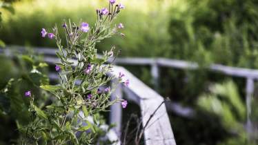 Unternehmen Bestattungsinstitut Martin Fromm e.K.
