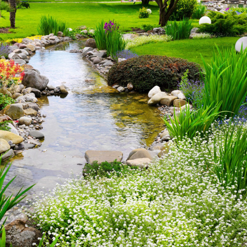 Galeriebild 0733040001771252419_782669.jpg