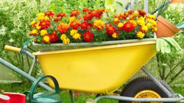 Unternehmen Gartenbau Wollmann