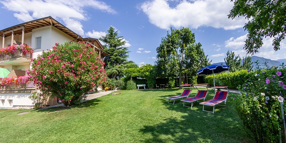 Galeriebild 0899131001757945376_782660.jpg