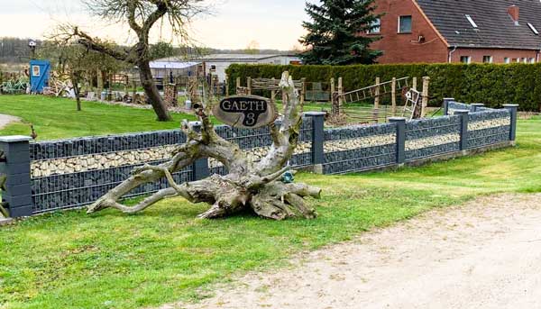 Galeriebild 0821367001755684971_782652.jpg